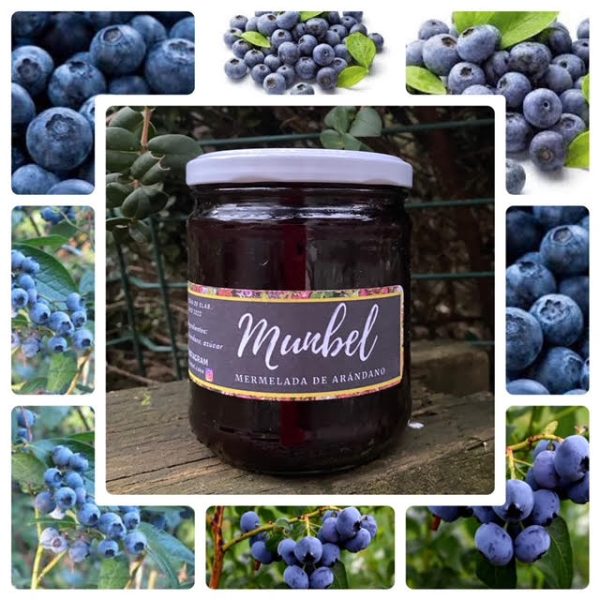 Mermelada Arandano Mumbel